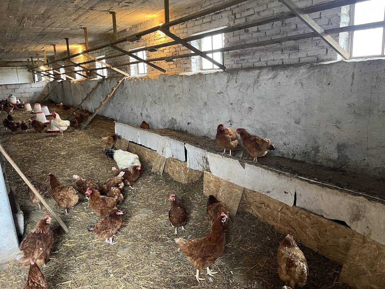 Galeria 238f4483460cf8b2.jpg