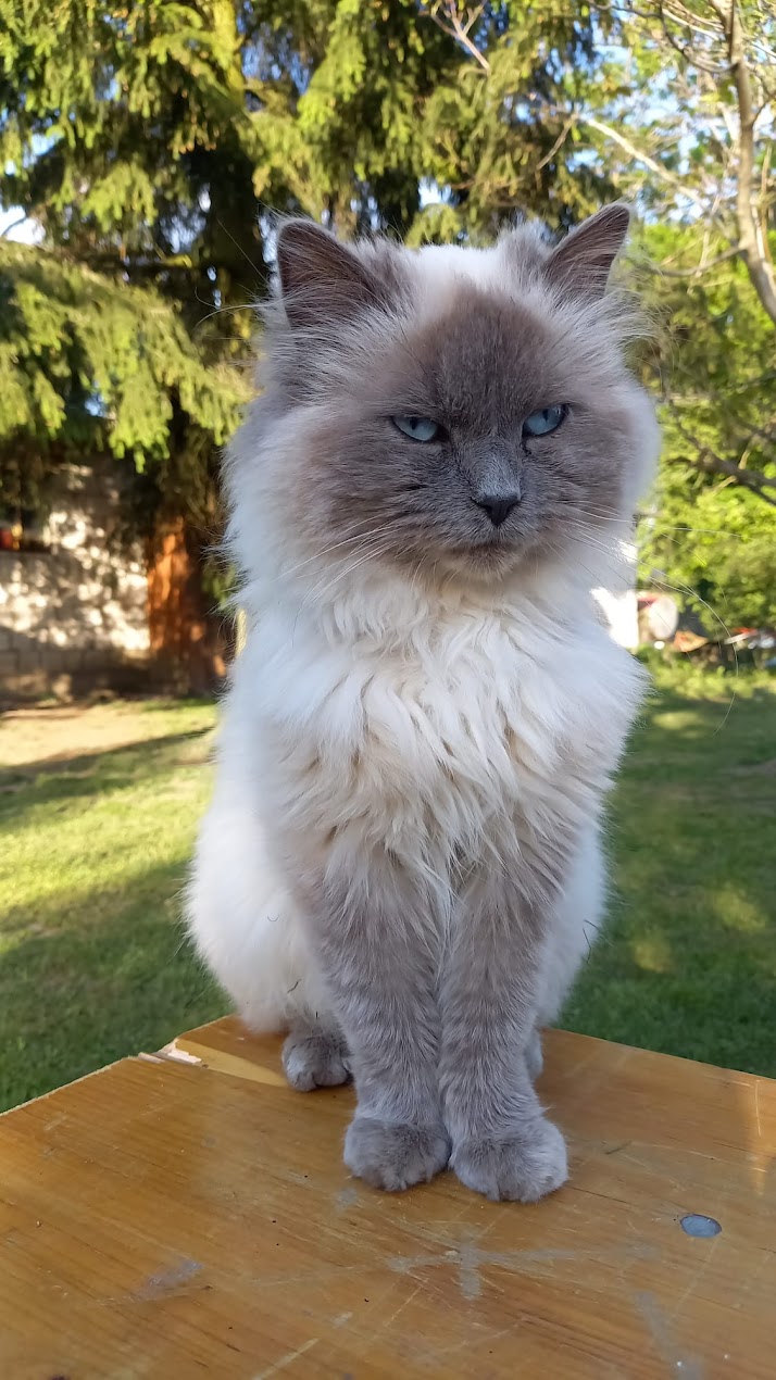 Galeria 76a8b54fa533f8e5.jpg