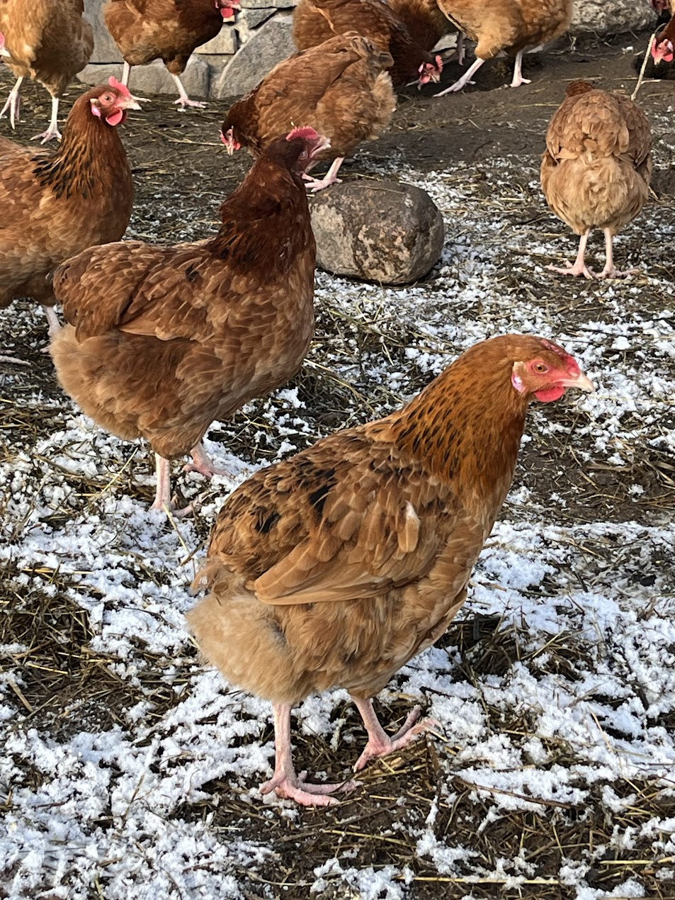 Galeria 7867ab9bf83a710d