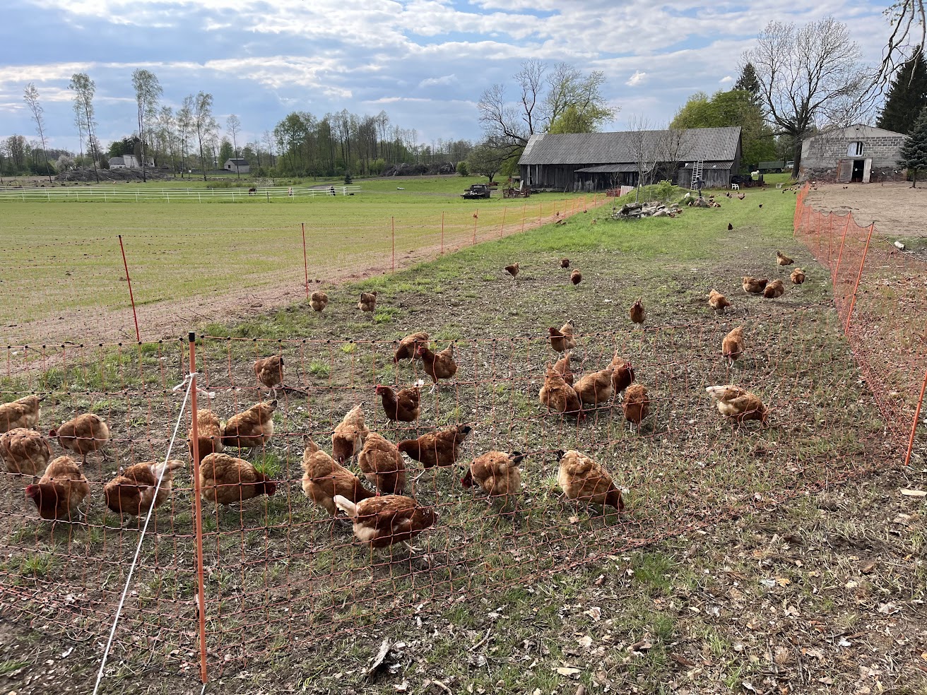 Galeria 94715217a3f4ee2b.jpg