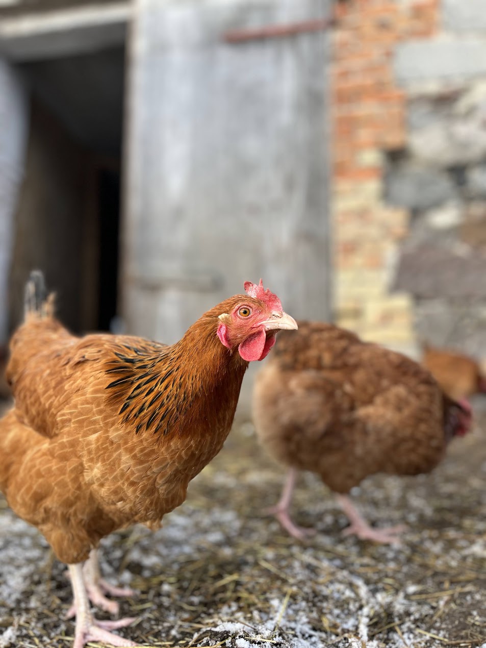 Galeria 95fa590dfd59fa34