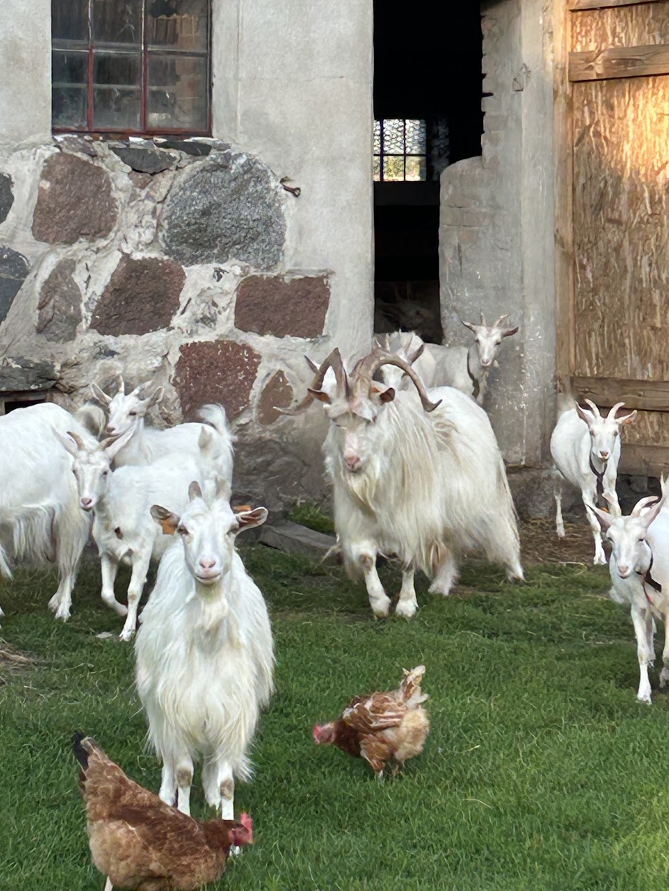 Galeria d254563f54c1bdd3.JPG